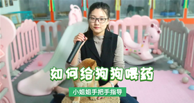 如何给狗狗喂药