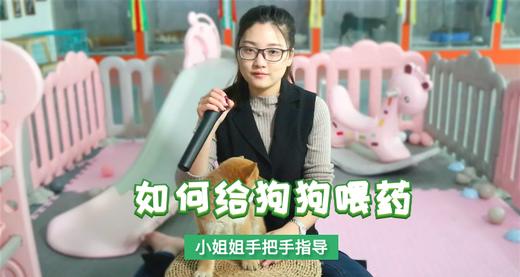 如何给狗狗喂药 商品图0