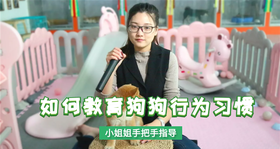 如何教行为习惯