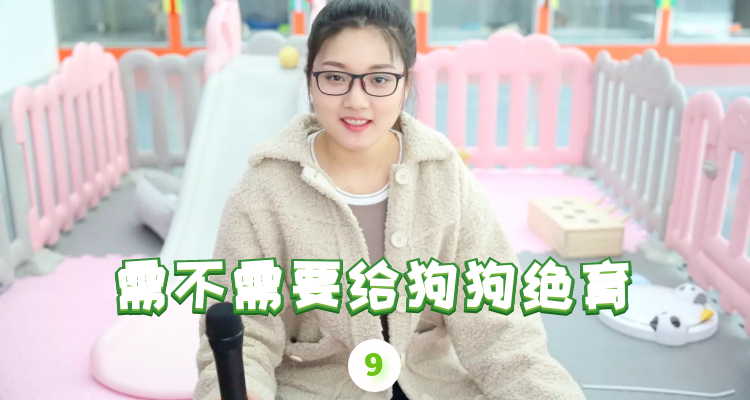 给狗狗做绝育有哪些好处呢