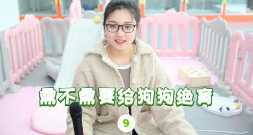 给狗狗做绝育有哪些好处呢 商品图0