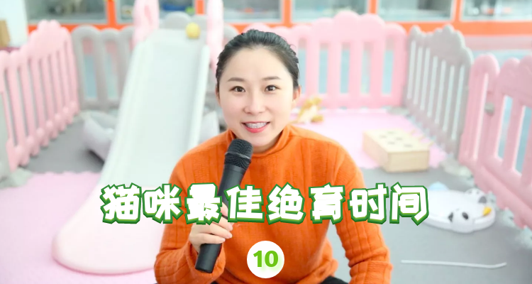 如何分辨猫咪绝育最好的时间