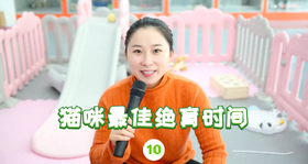 如何分辨猫咪绝育最好的时间