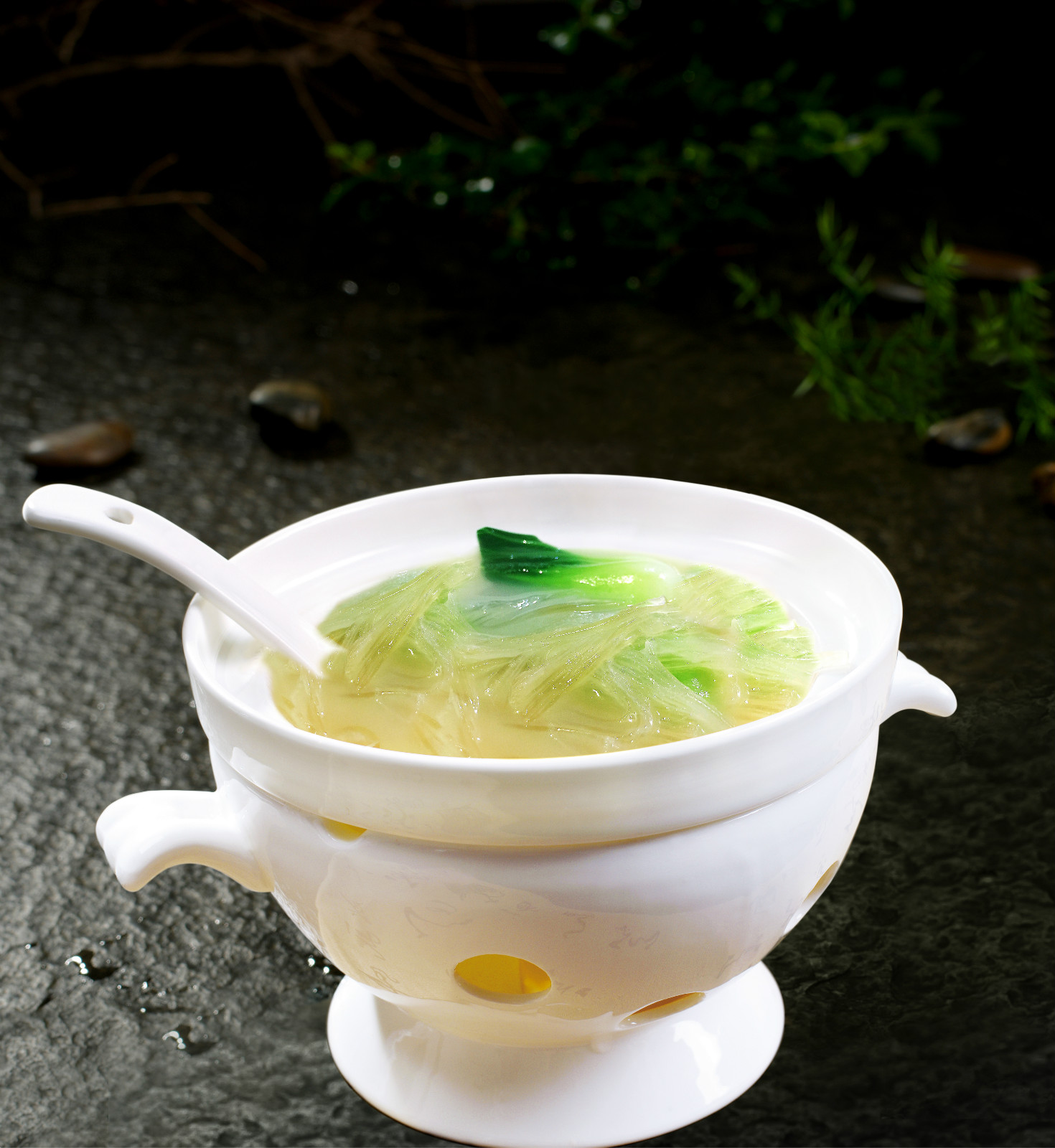浓汤鱼翅