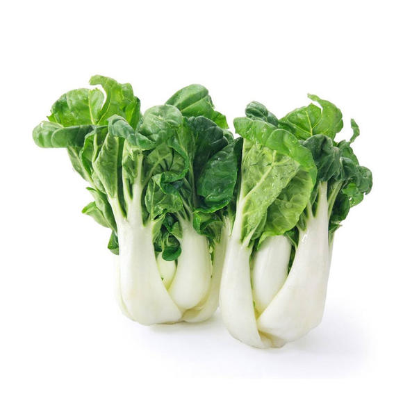 小白菜 青菜瓢儿菜瓢儿白 家庭易种植蔬菜种籽