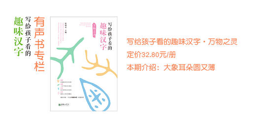 大象耳朵圆又薄 商品图0