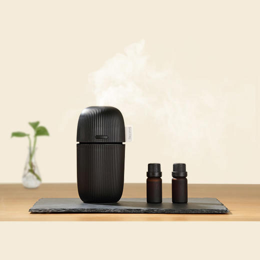 普罗旺斯香薰加湿器 两色可选 | 卡蛙 商品图2