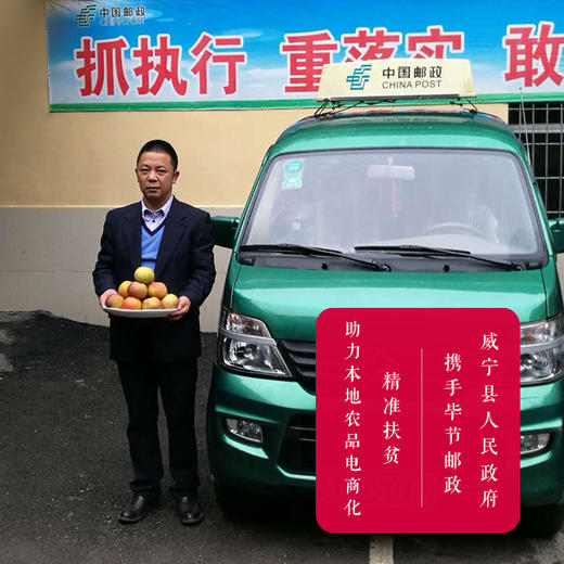 【限量2000件29.8元】毕节威宁【冰心苹果】 甜如蜜10个装（不低于4斤）现摘现发 贵州省内包邮 商品图4