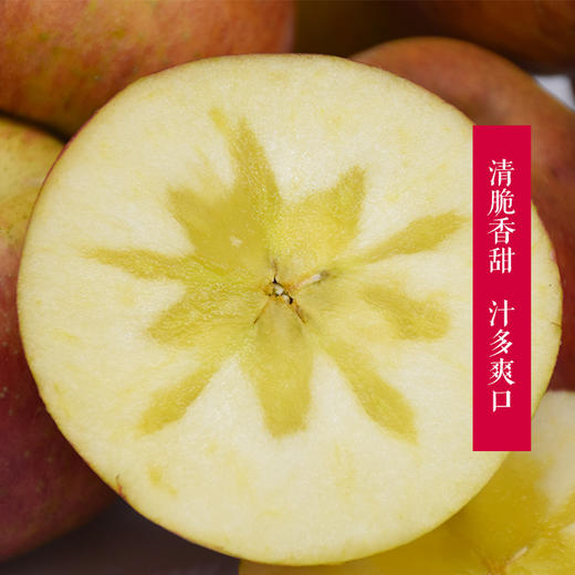【限量2000件29.8元】毕节威宁【冰心苹果】 甜如蜜10个装（不低于4斤）现摘现发 贵州省内包邮 商品图2