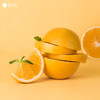 新奇士香草慕斯 Sunkist  Mousse 商品缩略图8