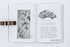 石涛：清初中国的绘画与现代性（平装）/石头出版社 繁体中文 商品缩略图4
