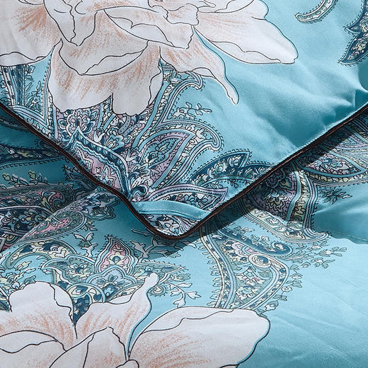 HangKey | 梵桦羽绒被 商品图3