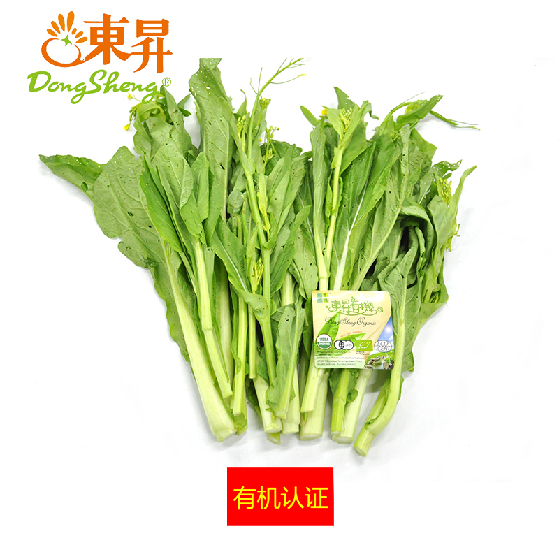 东升农场 有机迟菜心 高脚菜心 广州供港蔬菜新鲜配送300g