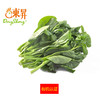东升农场 有机潺菜 豆腐菜木耳菜 广州供港新鲜蔬菜配送 300g 商品缩略图0