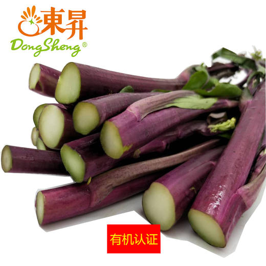 东升农场  有机红菜心  红菜花 广州蔬菜新鲜配送 300g 商品图0