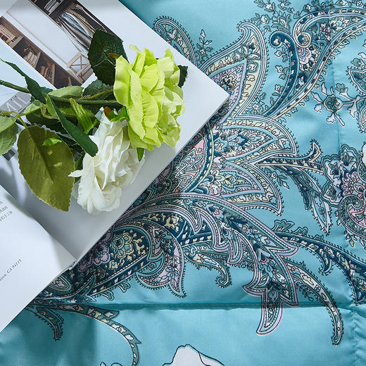 HangKey | 梵桦羽绒被 商品图1