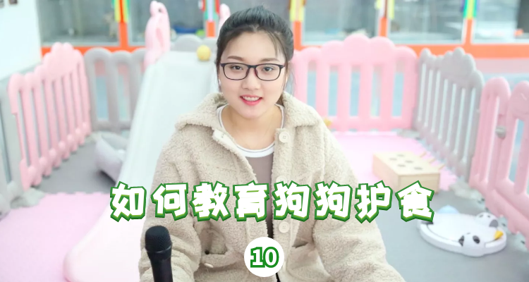 如何教育狗狗护食