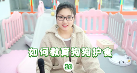 如何教育狗狗护食
