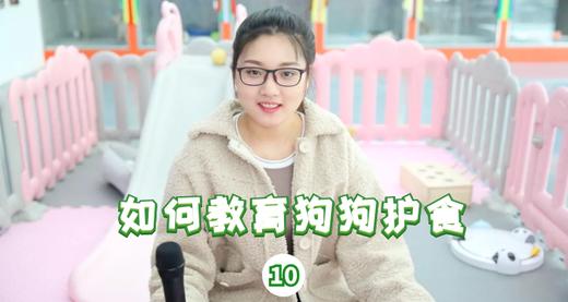 如何教育狗狗护食 商品图0