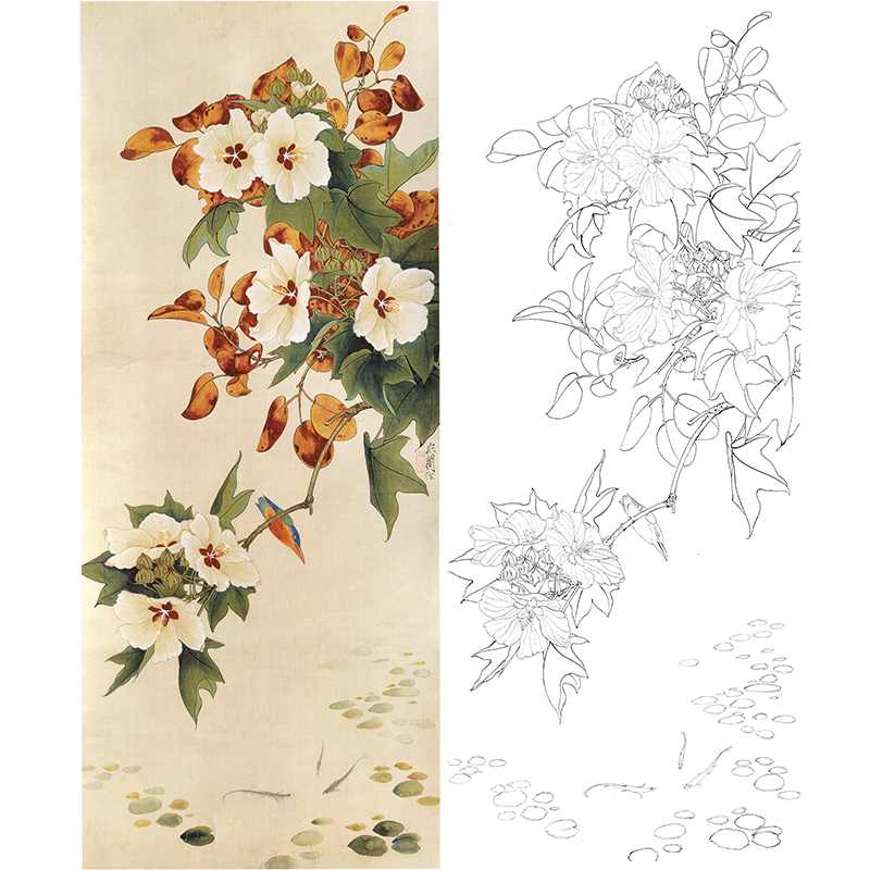 白描底稿-工笔花鸟-翠鸟芙蓉yf10