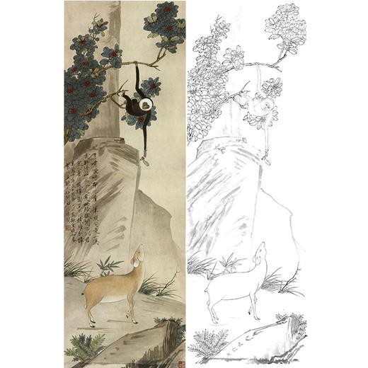 于非闇竖幅工笔花鸟白描底稿《猿獐图》-多种白描尺寸可选-YF19 商品图0