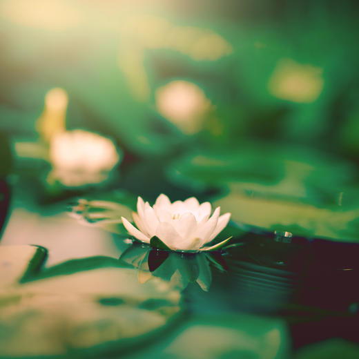 精选60首养生音乐 | 无损格式，超高清音质 | U盘（金士顿）16G内存 商品图0