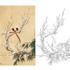 于非闇竖幅工笔花鸟白描底稿-梅花梅竹绶带《绶带双清》-多种白描尺寸可选-YF13 商品缩略图0