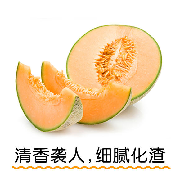 海南丝路晓蜜蜜瓜 现货哈密瓜海南网纹小甜瓜 新鲜水果500g 可自提