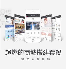 超燃 | 12月有赞商城搭建套餐一站式服务