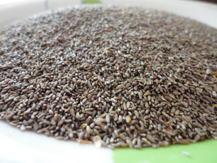 蒿子籽 500g