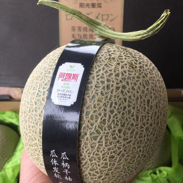 「水果优选」阿露斯阳光蜜瓜