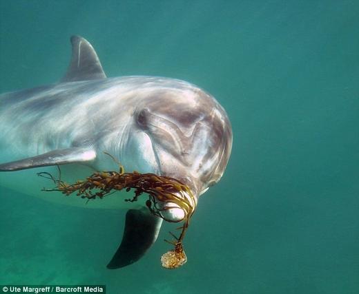 限购测试 商品图0