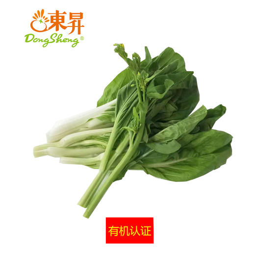 东升农场  有机白菜心  白菜苔  广州供港蔬菜新鲜配送 300G 商品图0