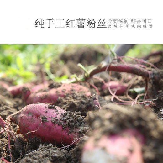 农家纯手工粉丝——红薯粉丝 商品图5