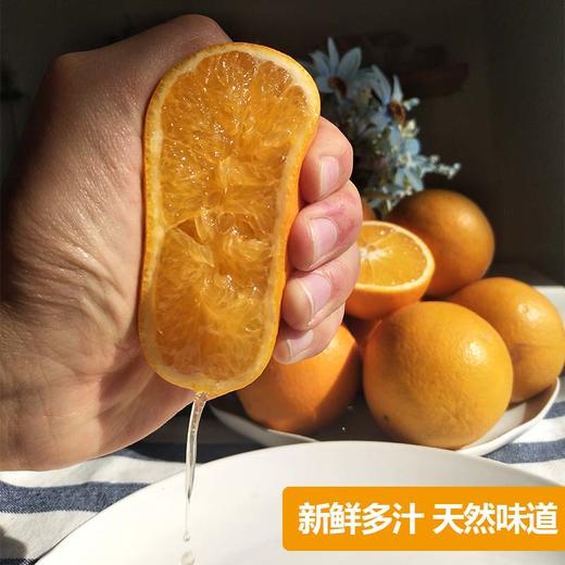 金堂脐橙——纯天然的新鲜味道 商品图1