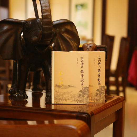 《花雨满天维摩说法》南怀瑾著述 复旦大学出版社正版书籍 商品图5