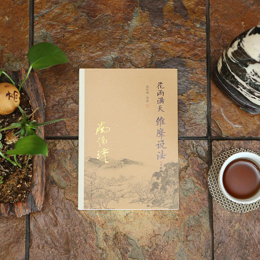 《花雨满天维摩说法》南怀瑾著述 复旦大学出版社正版书籍 商品图2
