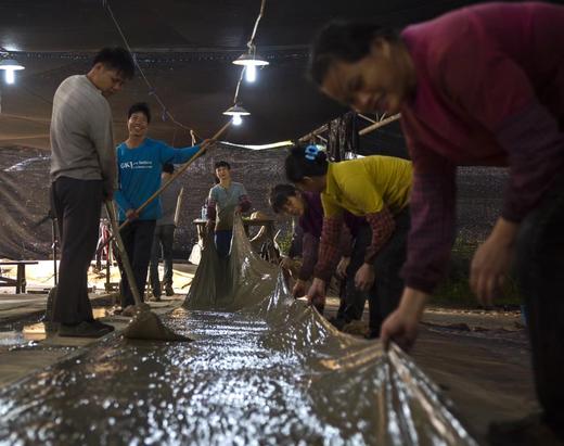 香云纱摄影精品团，增加涂泥、洗沙环节，独家摄影，不容错过 商品图5
