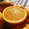金堂脐橙——纯天然的新鲜味道 商品缩略图0