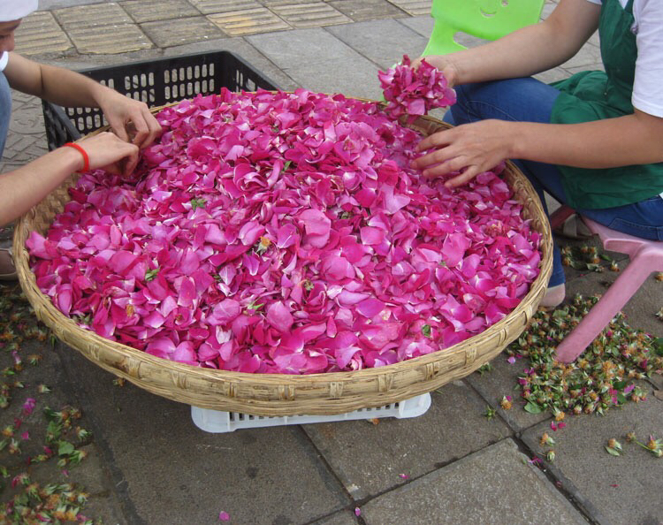 制作方法 第一步:挑选玫瑰花 第二步:揉面 第三步:制作鲜花饼馅 第