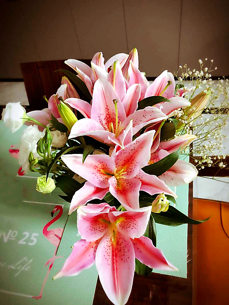5枝 多头a级梯伯百合 29.