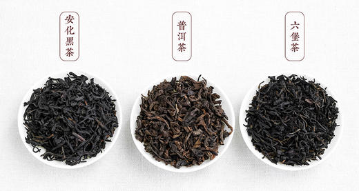 第4集：六堡茶与其他茶相比，究竟有何特色？ 商品图0