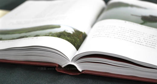 第5集：谈谈六堡茶的过去，现在和未来 商品图0