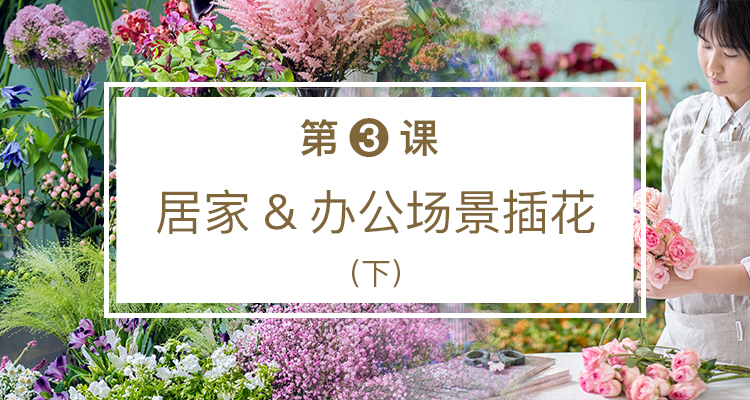 第三课 居家&办公场景插花（下）