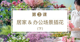第三课 居家&办公场景插花（下）