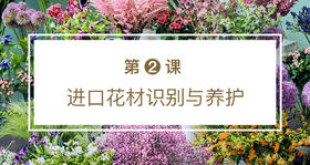 第二课 进口花材识别与养护