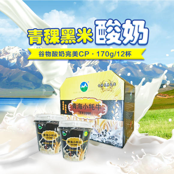 【青藏特产】青海小牦牛酸奶 黑米青稞酸奶 170g*12