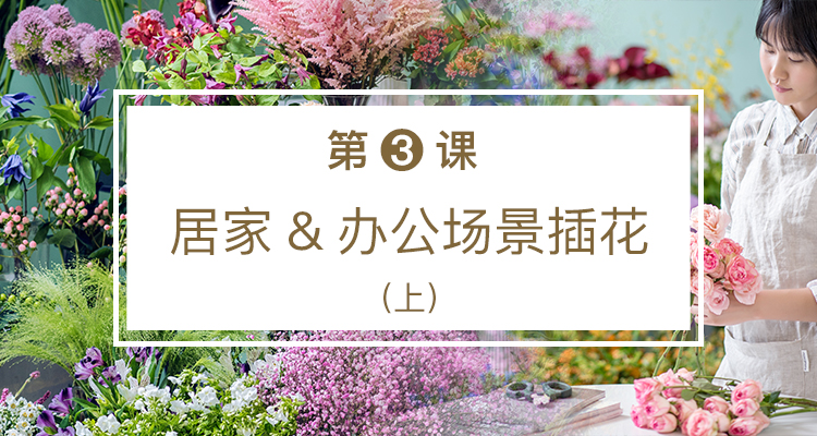 第三课 居家&办公场景插花（上）
