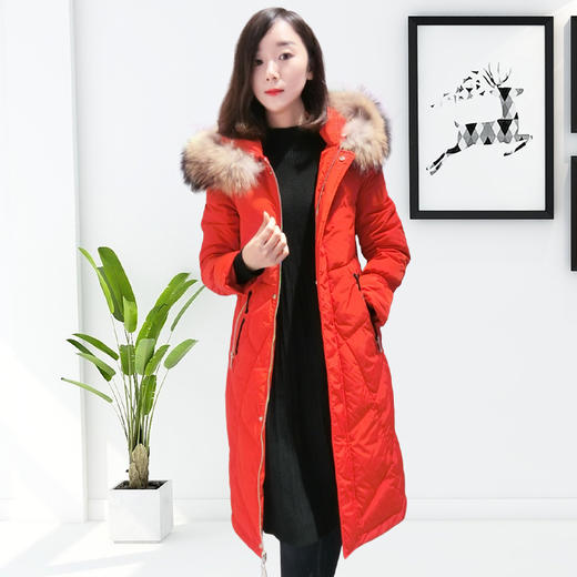 她之蝶冬季上新加厚羽绒服时尚修身狐狸毛白鸭绒潮收腰1840114 商品图0