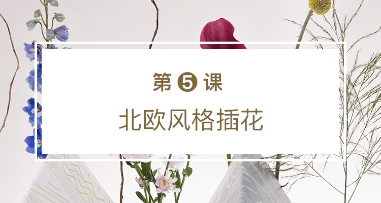第五课 北欧风格插花（上）